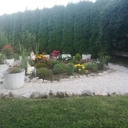 Πανσιόν Zsuzsi Vendeghaz